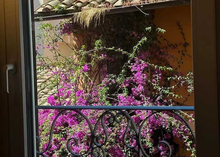 Blooms Your Retreat In Campo De Fiori Apartment Rom